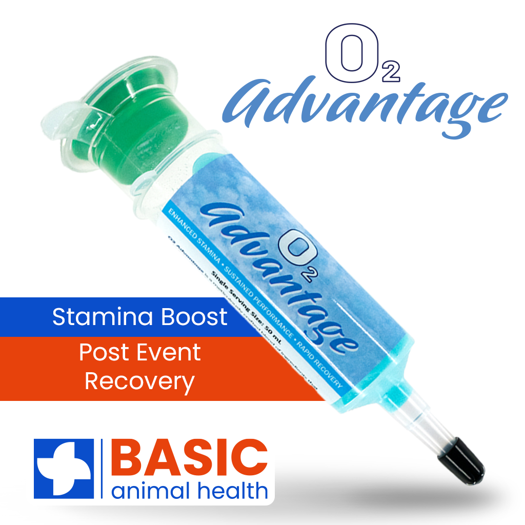 O2 Advantage Supplement for Horses | Equine Exchange Tack Shop