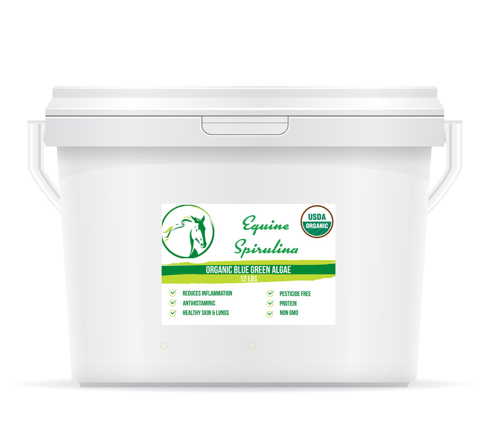 Equine Spirulina-Organic, Non GMO & Pesticide Free