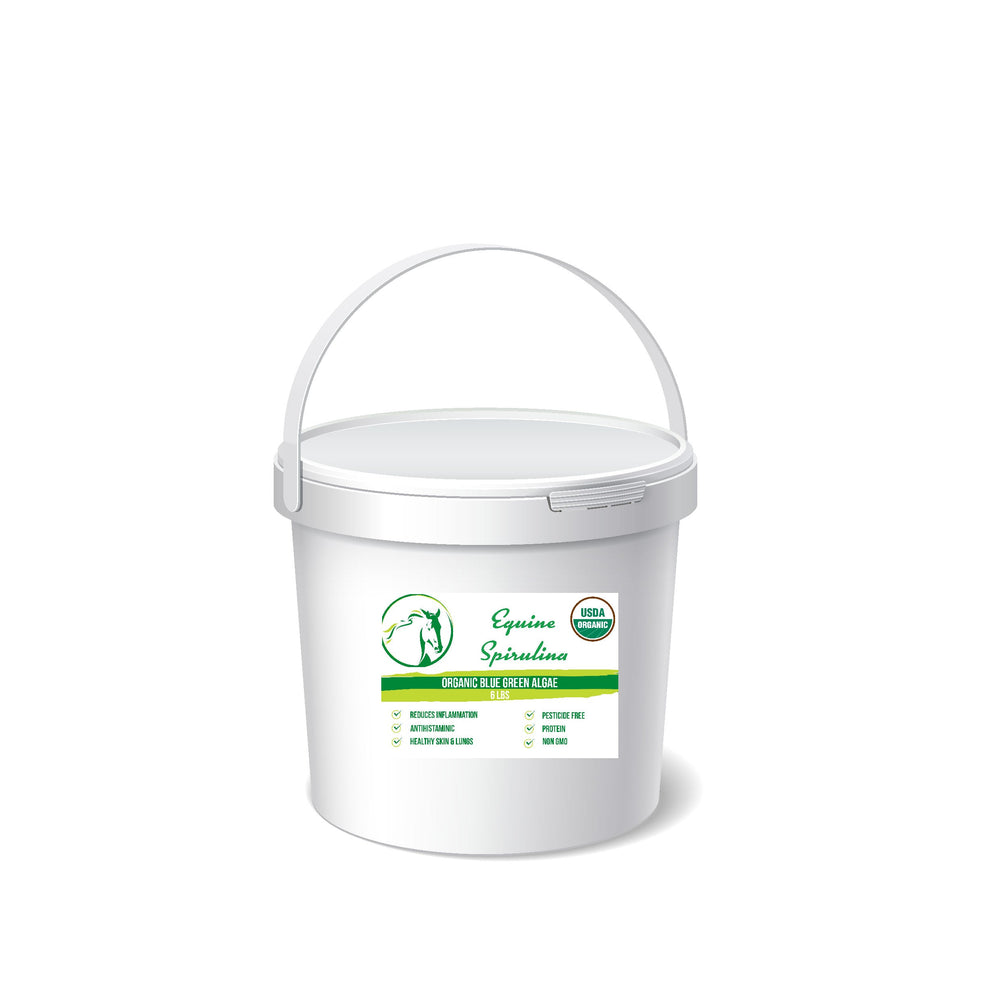 Equine Spirulina-Organic, Non GMO & Pesticide Free