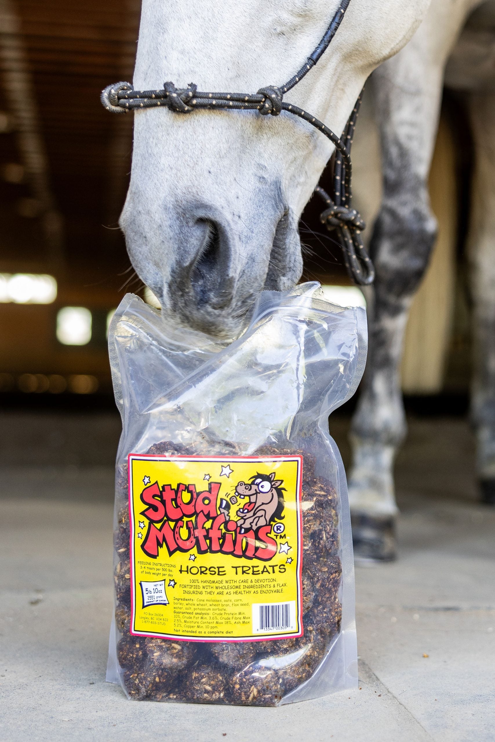 Stud Muffins Horse Treat 90oz