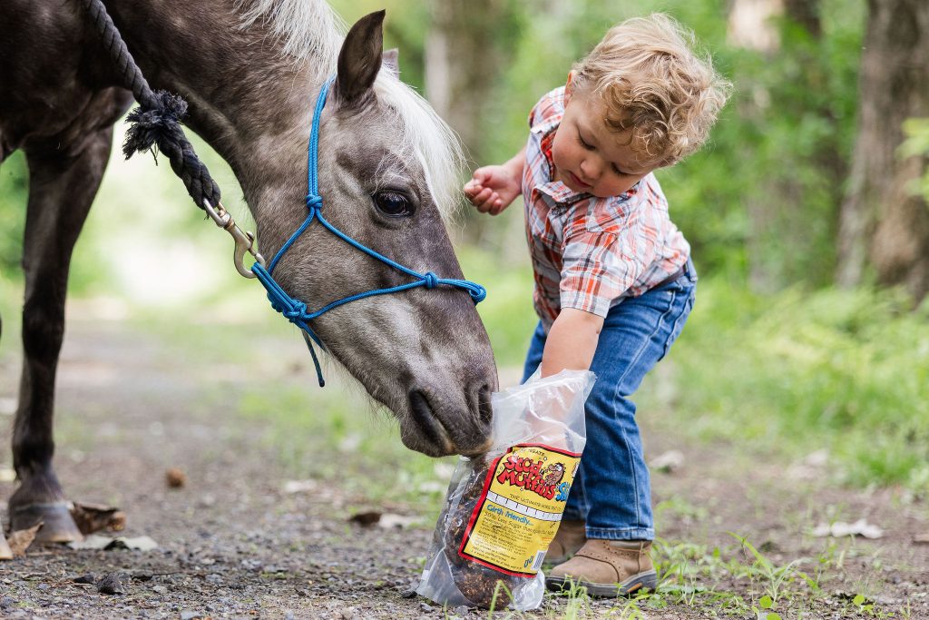 Stud Muffins Slims Horse Treat