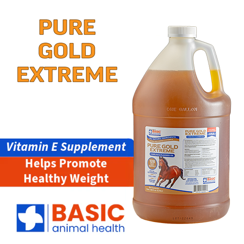 Pure Gold Extreme for Horses
