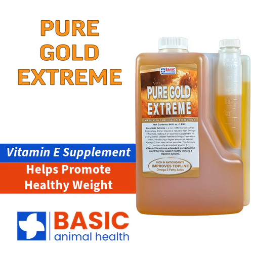 Pure Gold Extreme for Horses