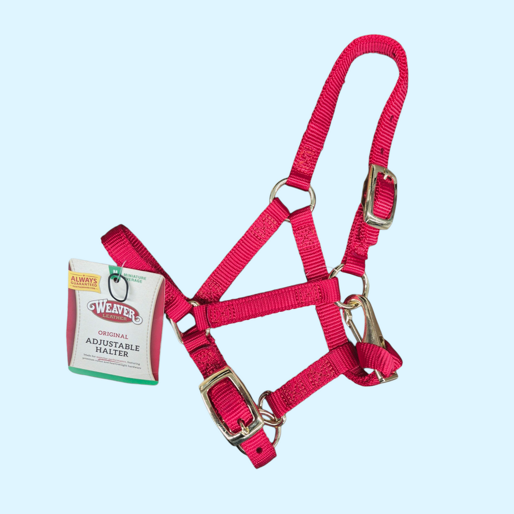 Weaver Adjustable Miniature Horse Halter in Red