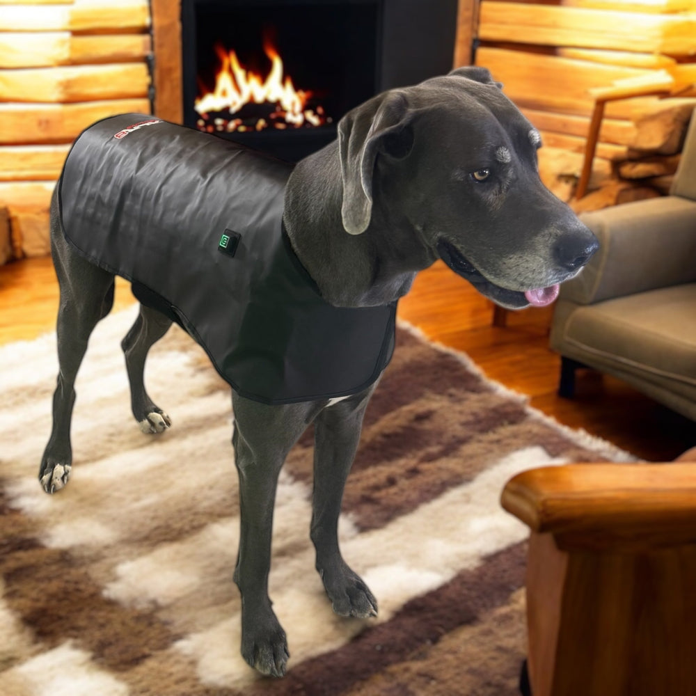 Redline Dog Wrap- Large - Equine Exchange Tack Shop