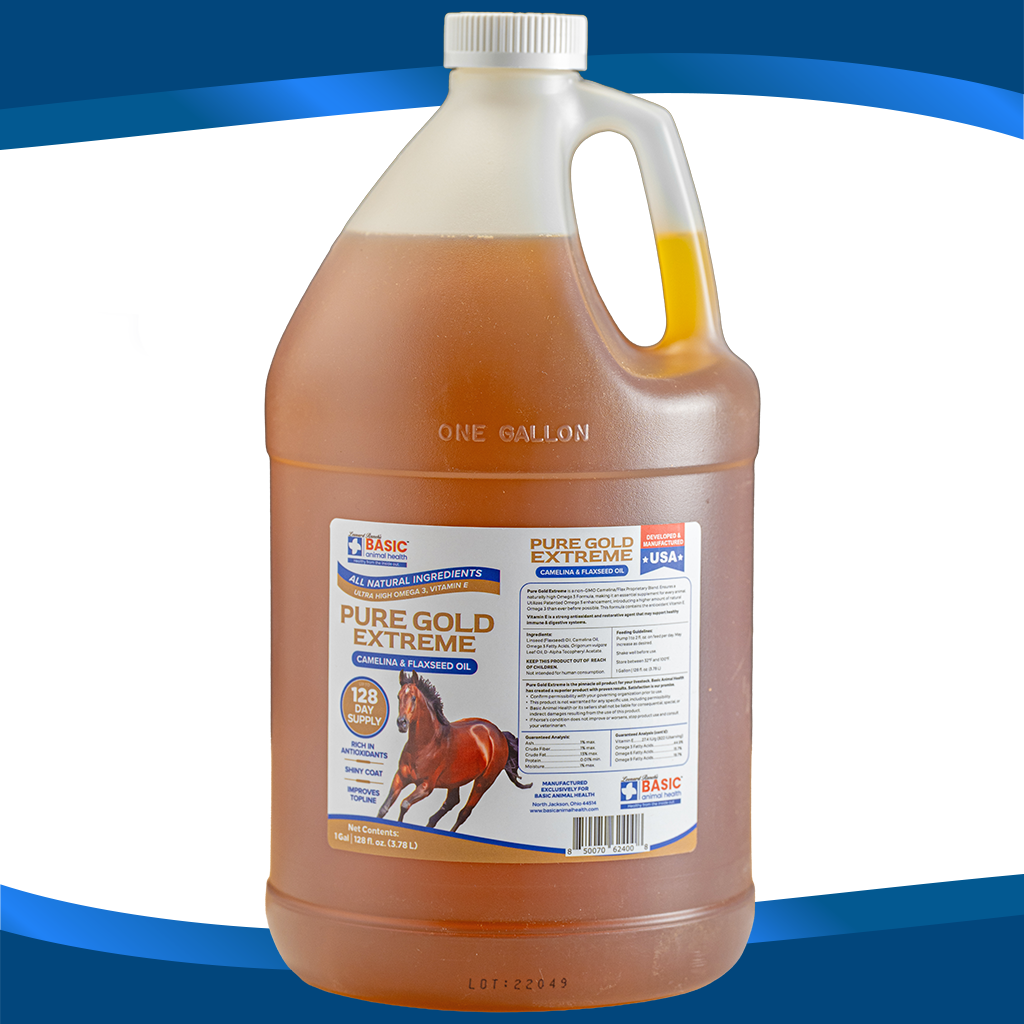 Pure Gold Extreme for Horses - Equine Exchange Tack Shop