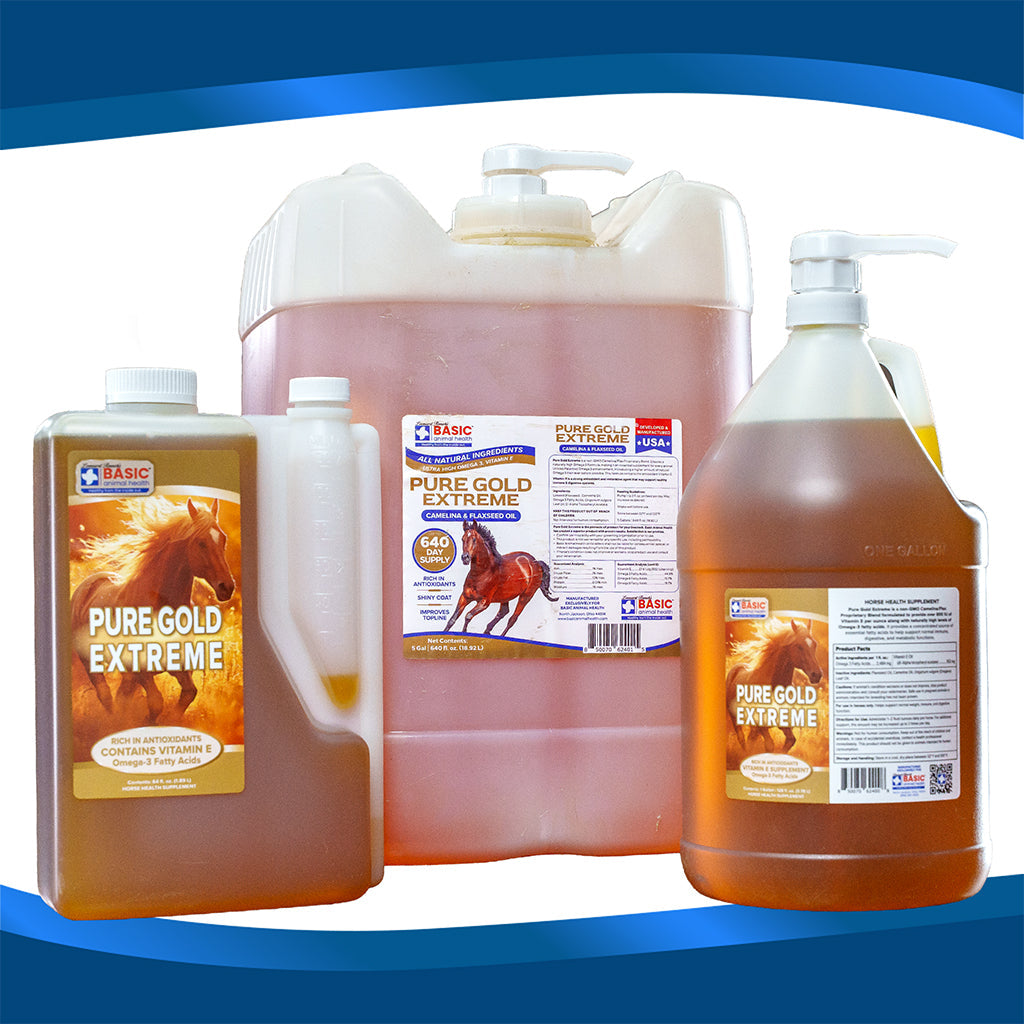 Pure Gold Extreme for Horses