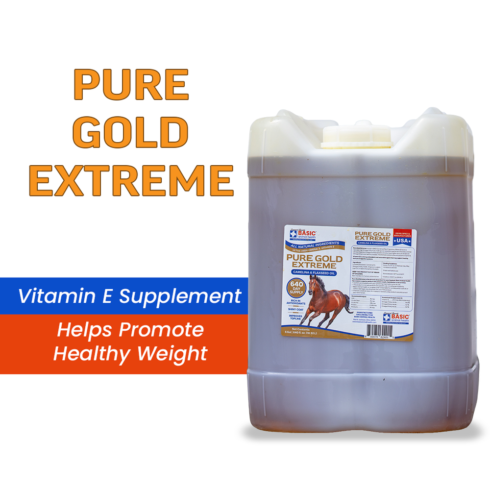 Pure Gold Extreme for Horses