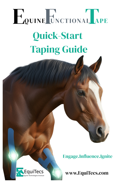 How to Tape Guide - Equine Exchange Tack Shop