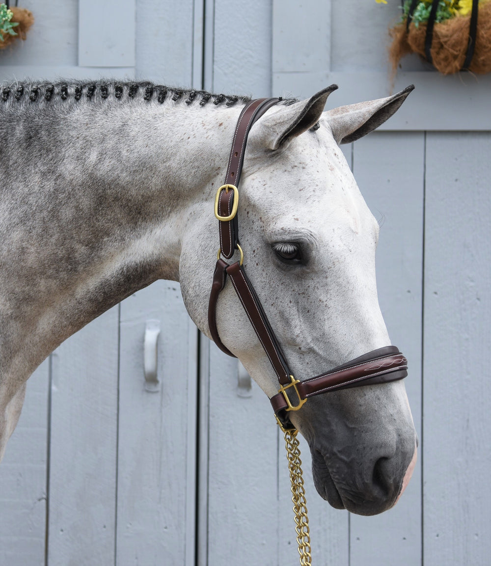 Rachel Fancy Stitched Leather Halter - Equine Exchange Tack Shop