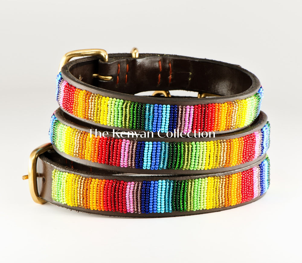 Rainbow Beaded Dog Collar - Equine Exchange Tack Shop