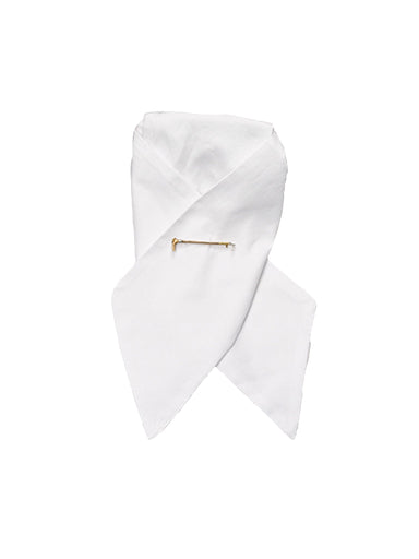 Pinpont Oxford Stock Tie - Equine Exchange Tack Shop