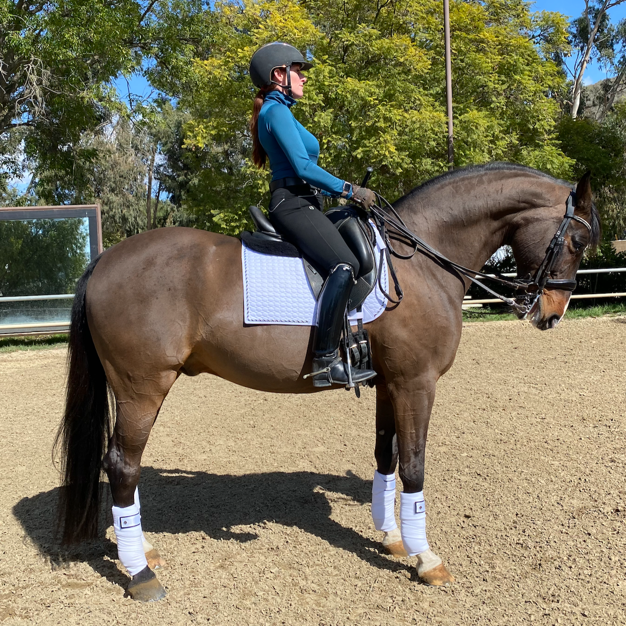 European Cotton Dressage Saddle Pad  