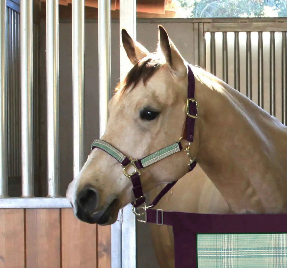 Premium Nylon Halter - Equine Exchange Tack Shop
