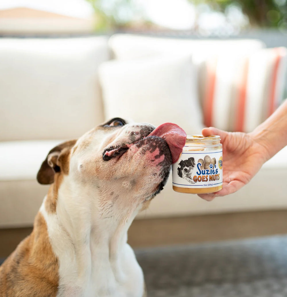 Suzie's Goes Nuts CBD Paste - Equine Exchange Tack Shop