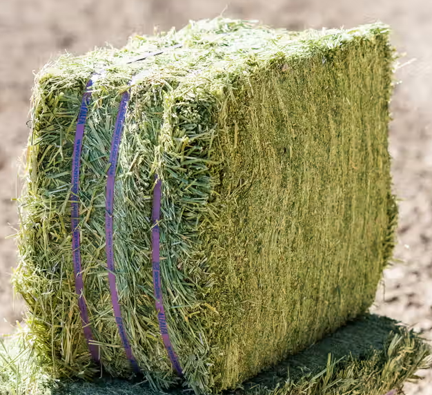 Alfalfa Compressed Bale