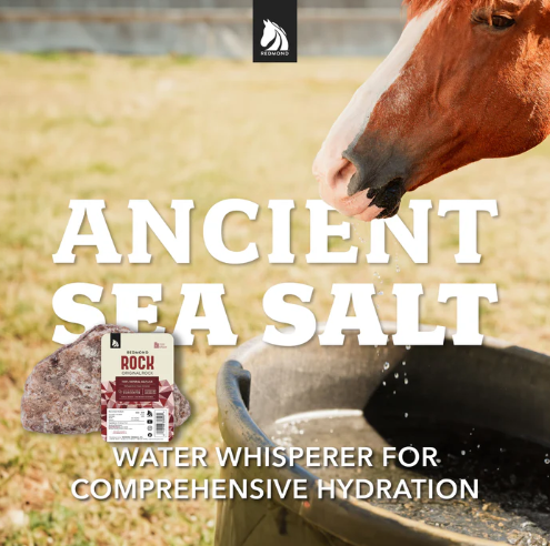 Redmond Rock 3-5# - Equine Exchange Tack Shop