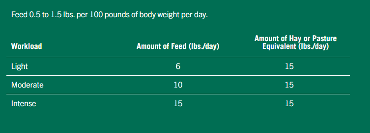 McCauley's Top Ten - Equine Exchange Tack Shop