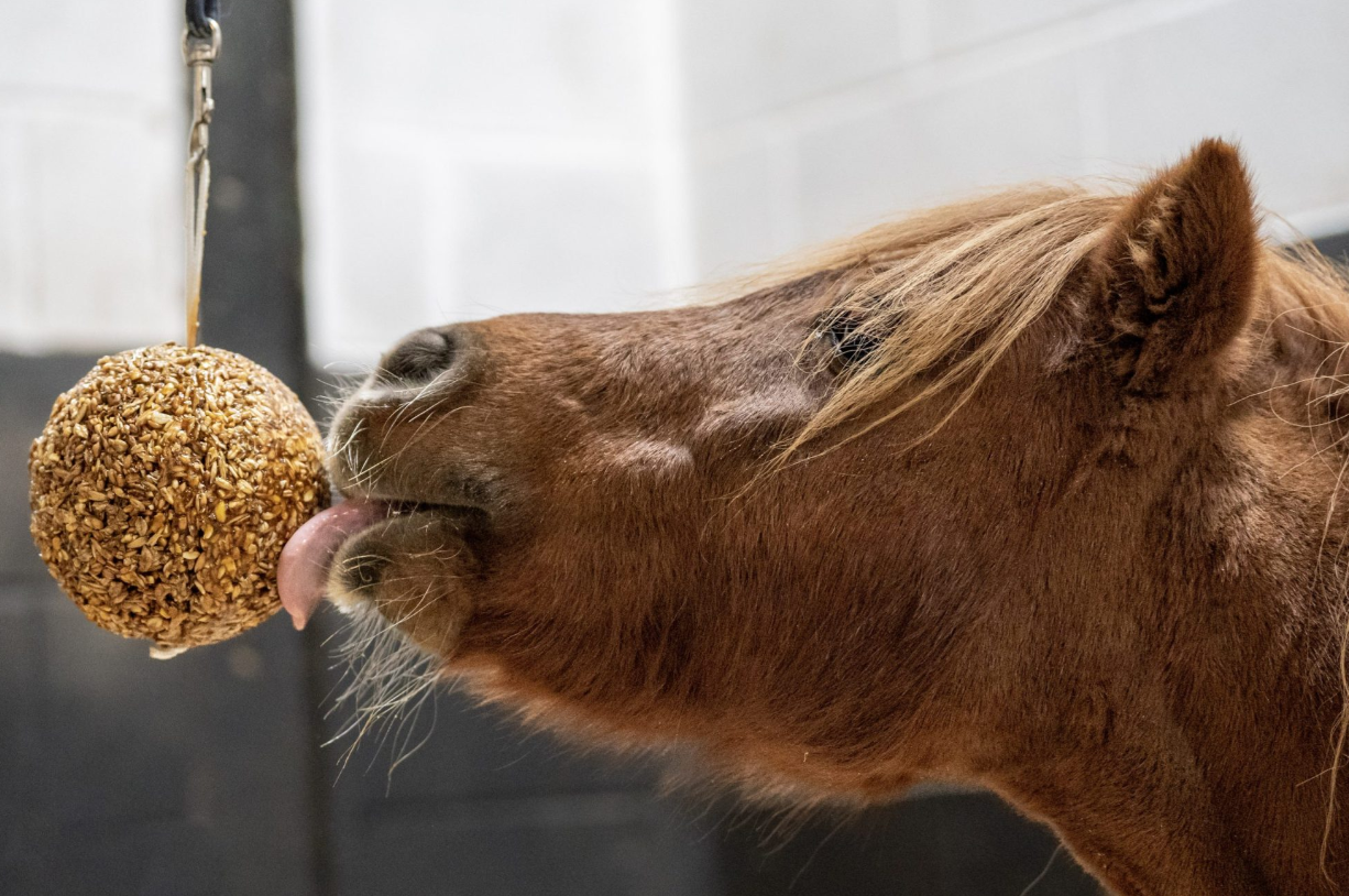 Likit Granola Stall Ball  