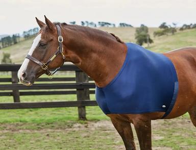 Weatherbeeta Stretch Shoulder Guard - Equine Exchange Tack Shop