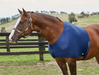 Weatherbeeta Stretch Shoulder Guard - Equine Exchange Tack Shop