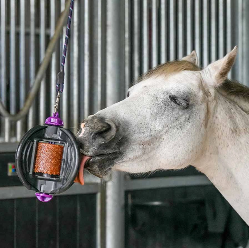 Likit Bizzy Ball - Black - Equine Exchange Tack Shop