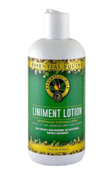 Essential Equine Liniment Lotion - 16 fl oz - Equine Exchange Tack Shop