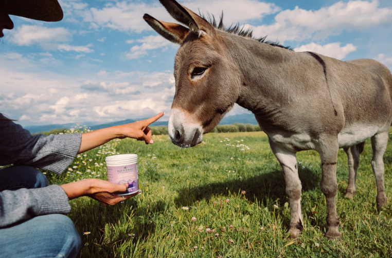 Equiderma Zinc Paste - 16oz