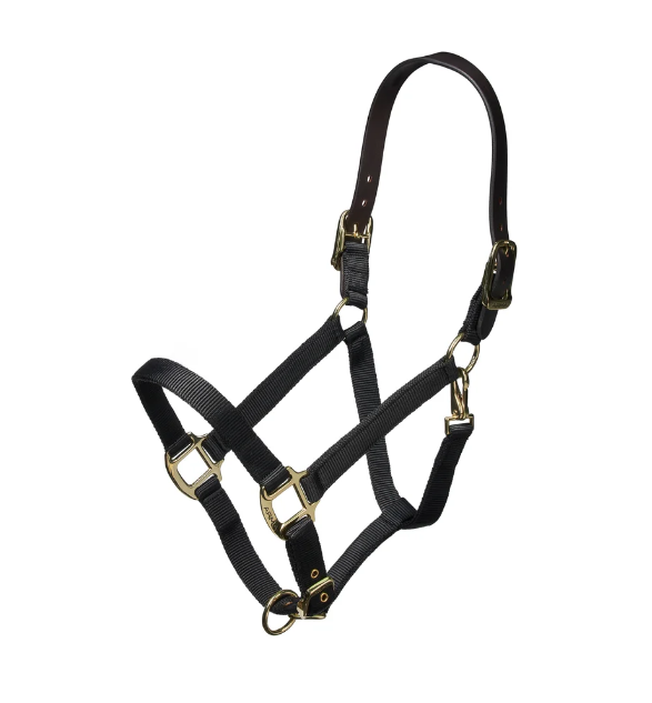 ARMA Nylon Breakaway Halter