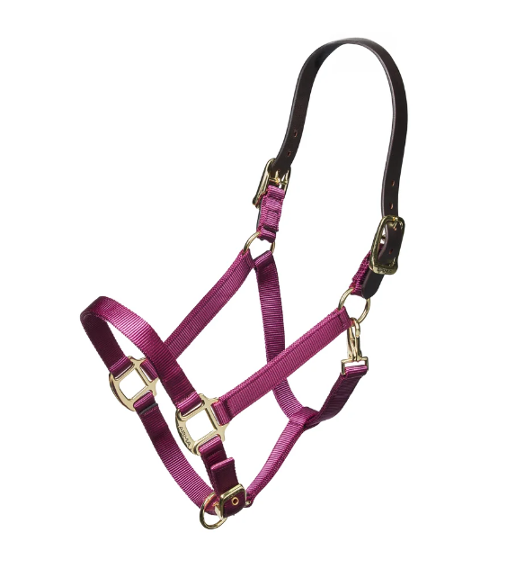 ARMA Nylon Breakaway Halter