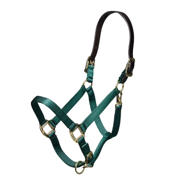 ARMA Nylon Breakaway Halter