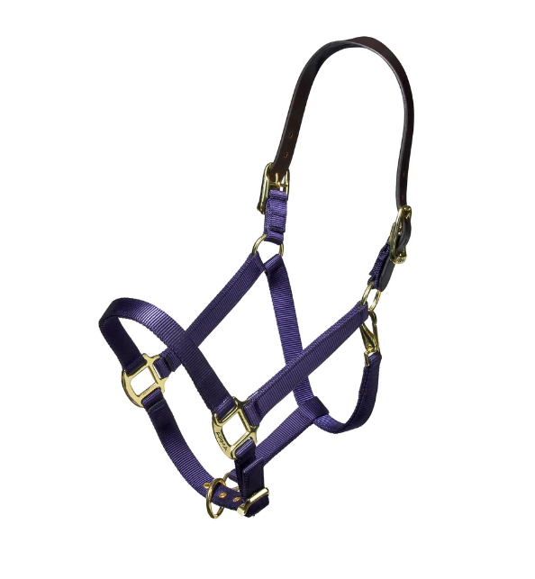 ARMA Nylon Breakaway Halter