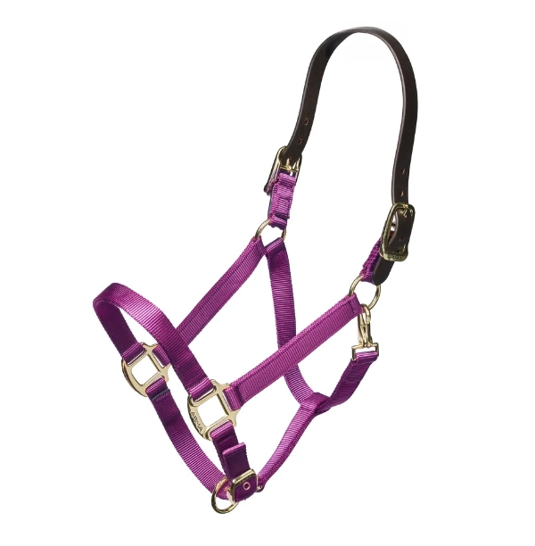 ARMA Nylon Breakaway Halter