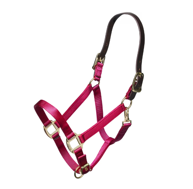 ARMA Nylon Breakaway Halter