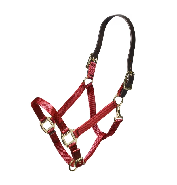 ARMA Nylon Breakaway Halter