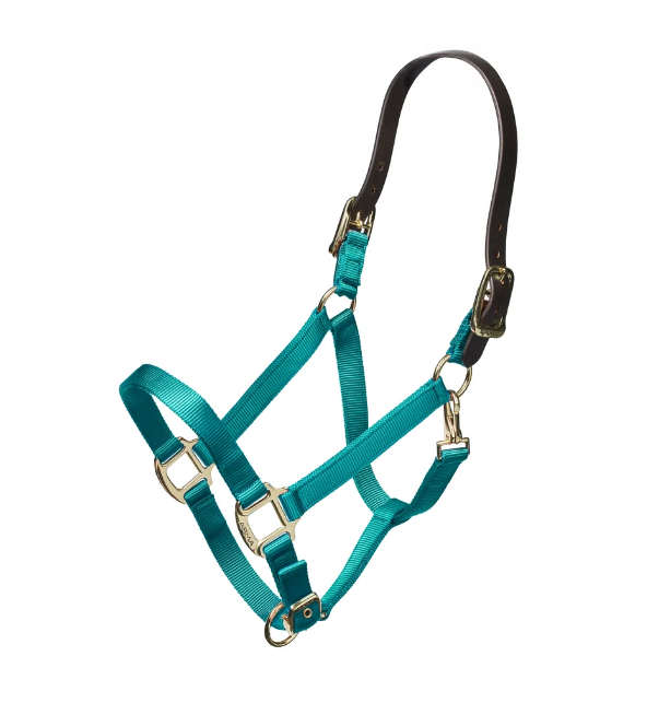 ARMA Nylon Breakaway Halter