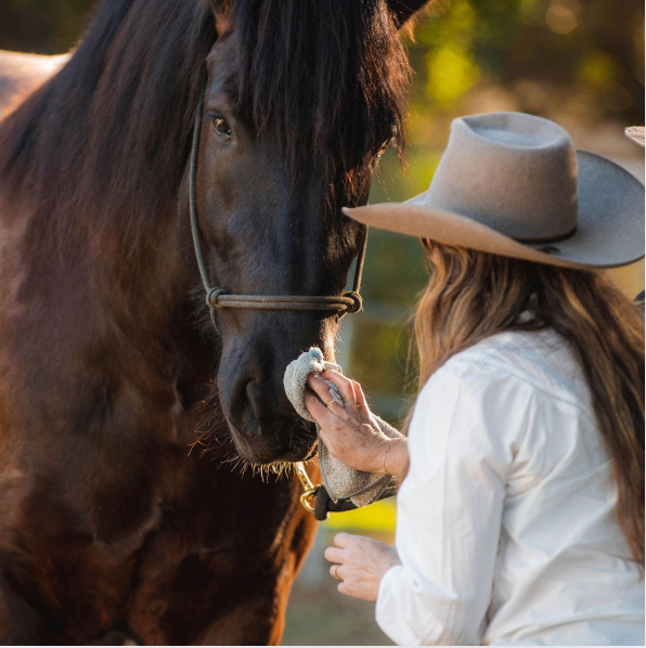 Reusable Bamboo Wiping Cloth - Equine Exchange Tack Shop