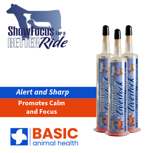 ShowFocus Xtra Strength Gel Supplement for Livestock - 3 Pack - Equine Exchange Tack Shop