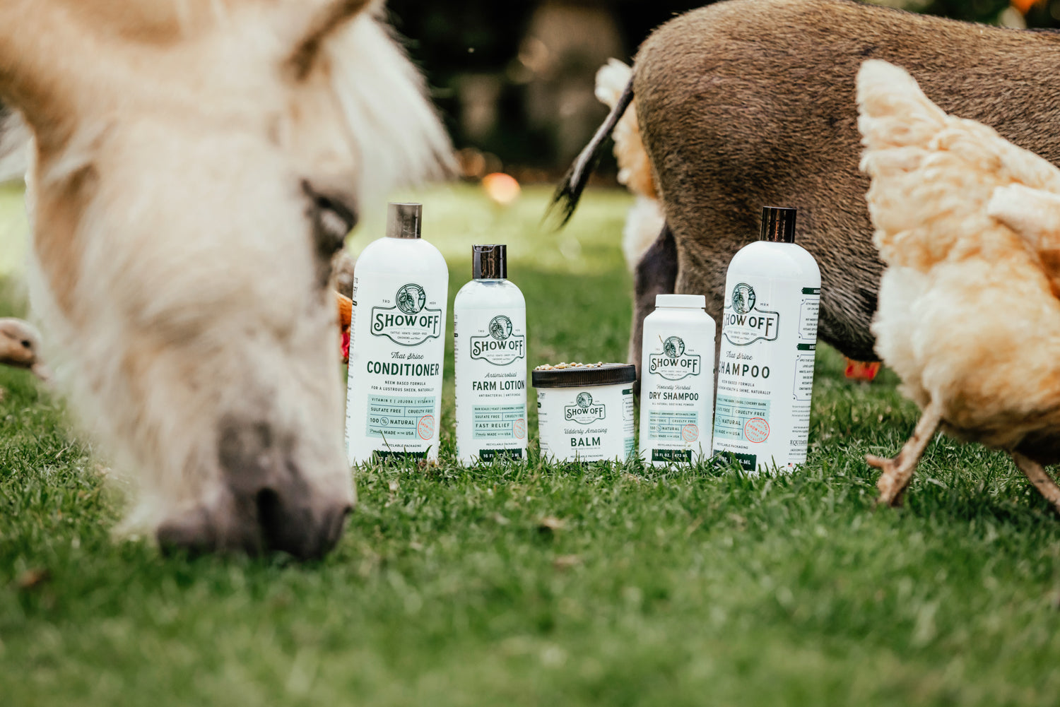Show Off That Shine Conditioner - Equine Exchange Tack Shop