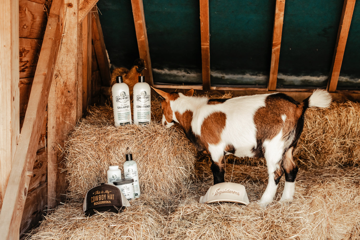 Show Off That Shine Conditioner - Equine Exchange Tack Shop