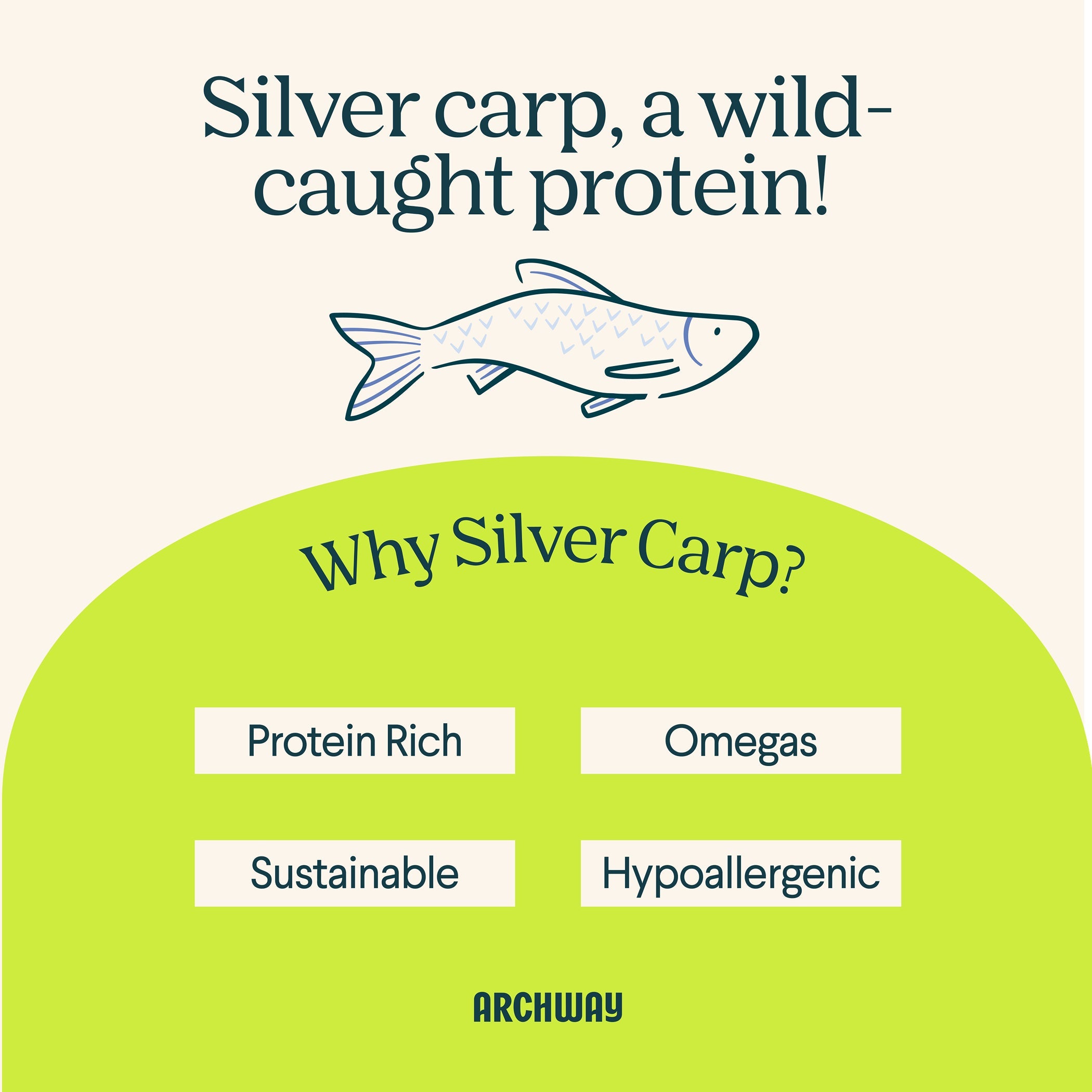 Silver Carp and Sweet Potato - Equine Exchange Tack Shop