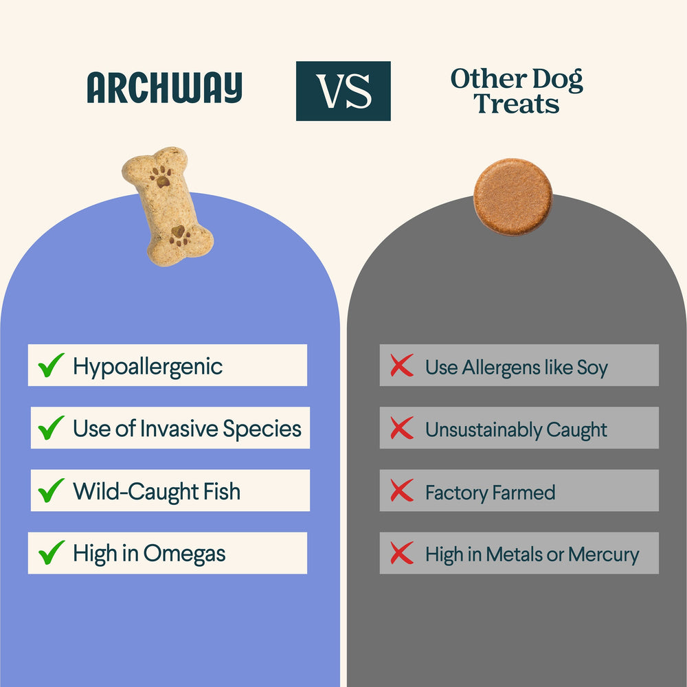 Silver Carp and Sweet Potato - Equine Exchange Tack Shop