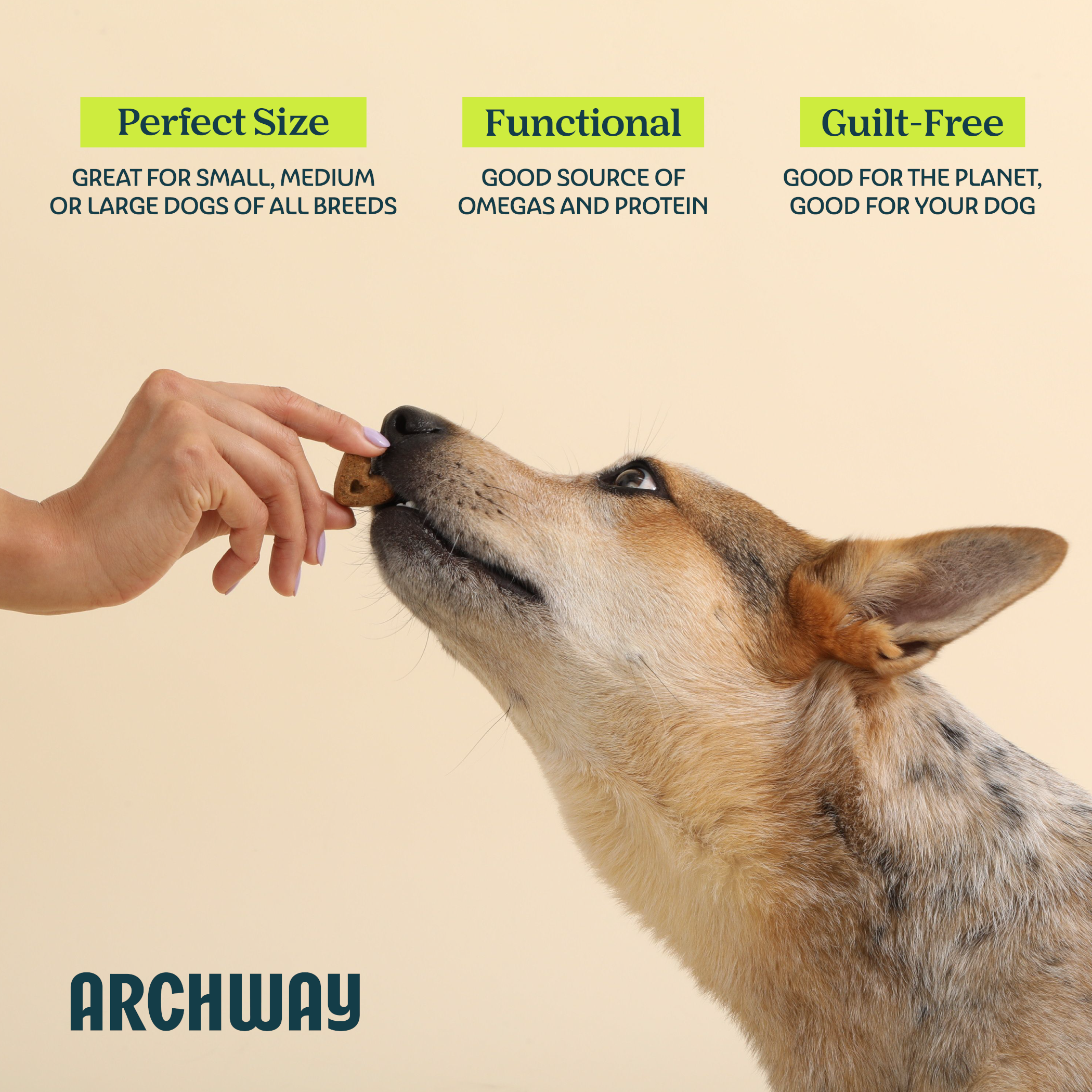 Skin & Coat Health  