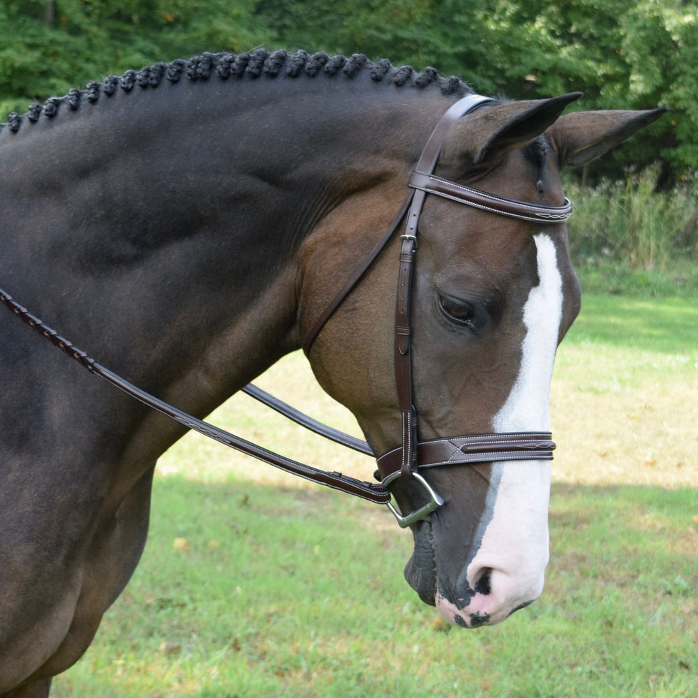 Sonoma Hunter Bridle - Equine Exchange Tack Shop