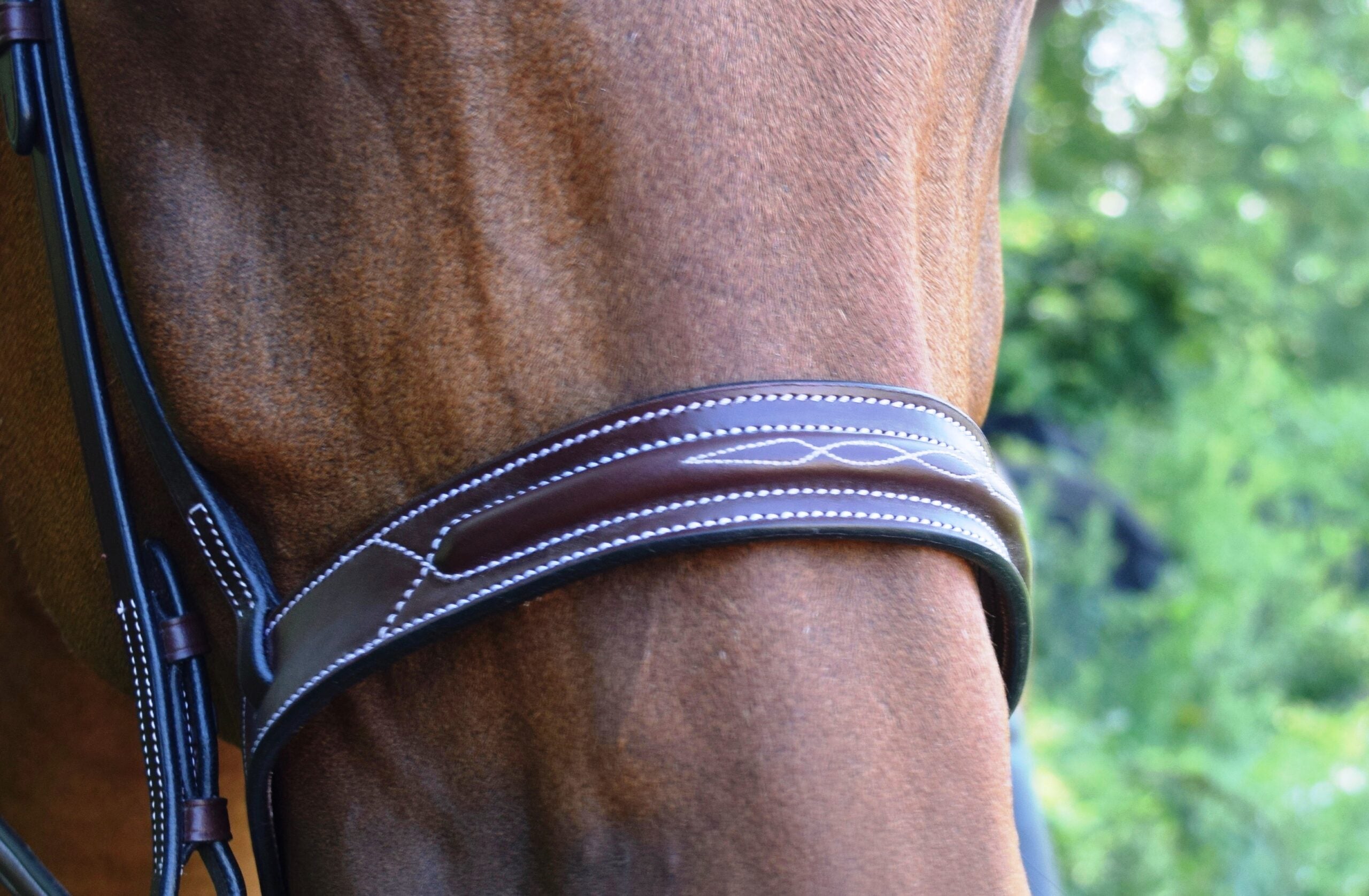 Sonoma Hunter Bridle - Equine Exchange Tack Shop