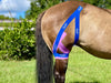 Equi-Tape® Fundamentals Course & Module Bundle - Equine Exchange Tack Shop