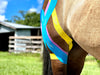 Equi-Tape® Advanced Education Package - Equine Exchange Tack Shop