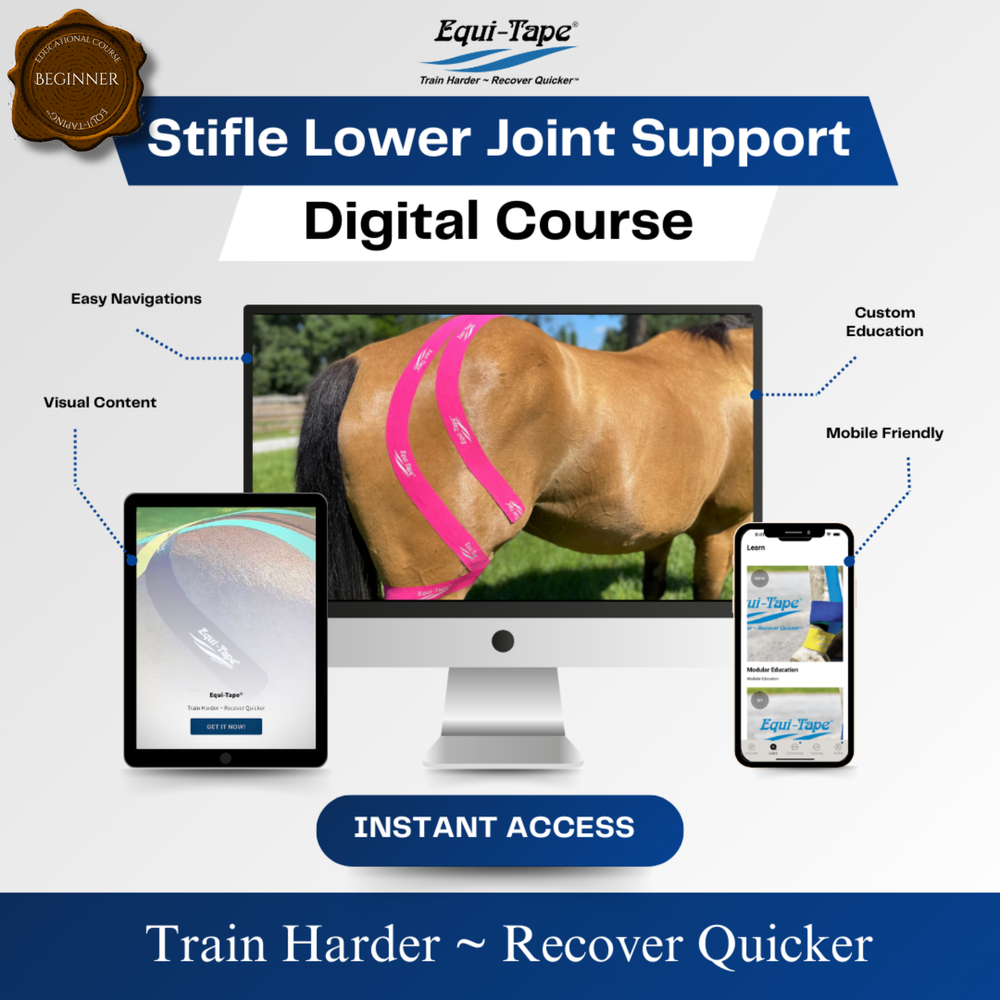 Module: The Stifle - Equine Exchange Tack Shop