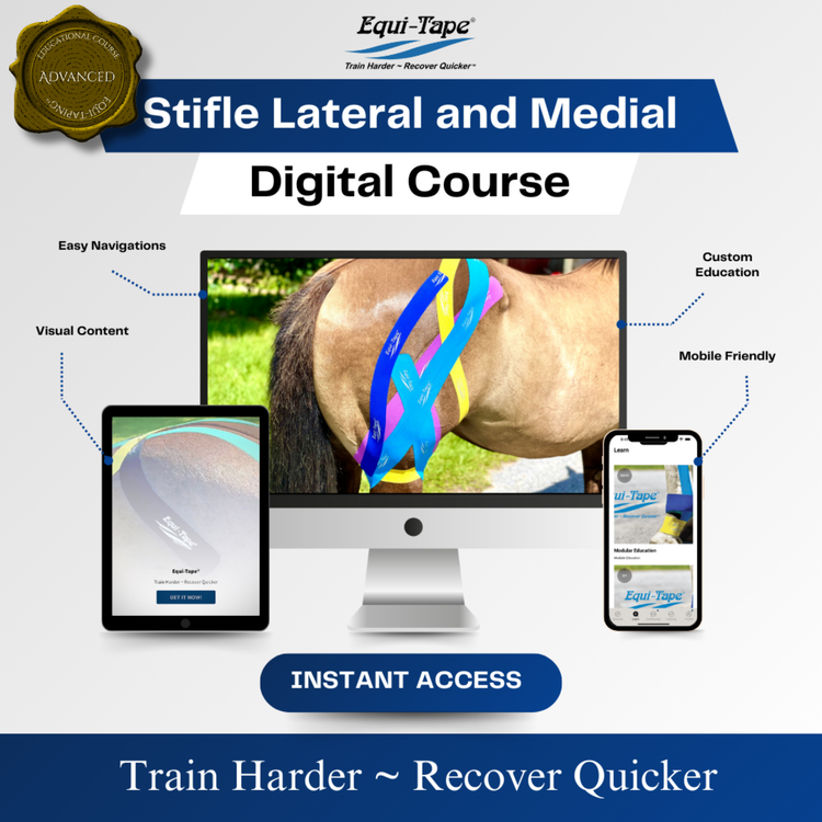 Module: The Stifle - Equine Exchange Tack Shop