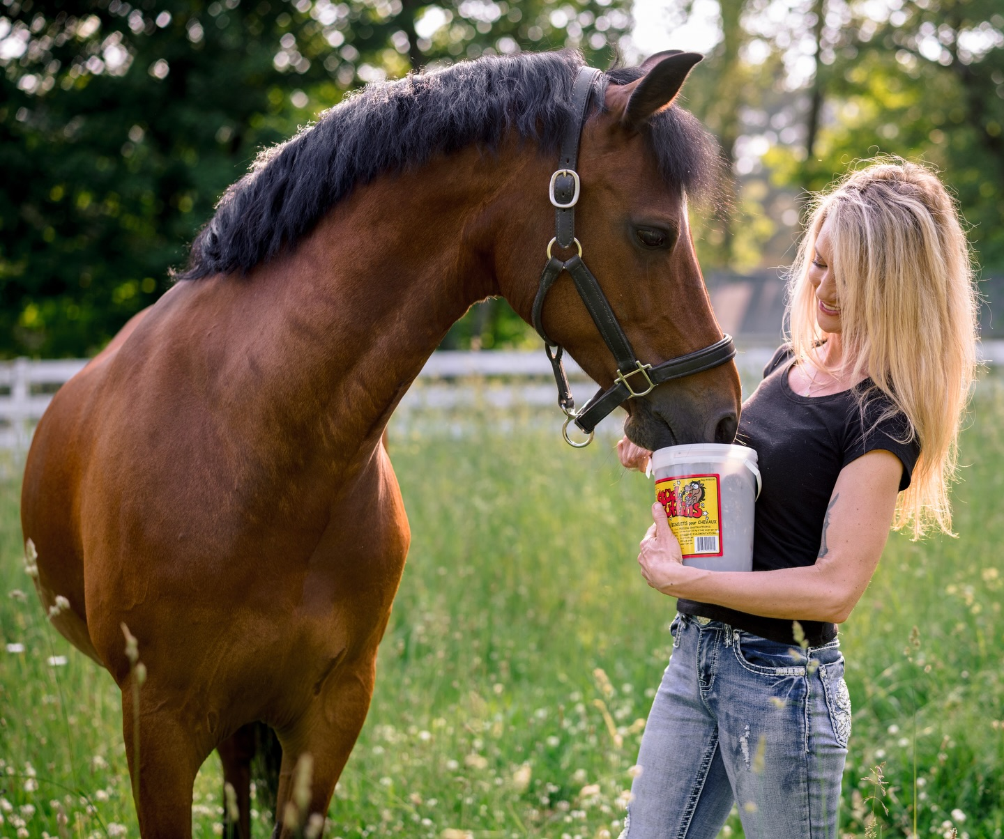 Stud Muffins Horse Treat 60oz